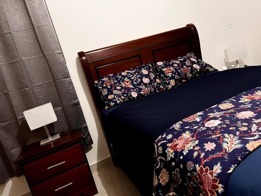 Outstanding Pent House W/Jacuzzi Apartamento Santiago De Los Caballeros Exterior foto